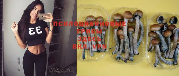 стафф Горняк