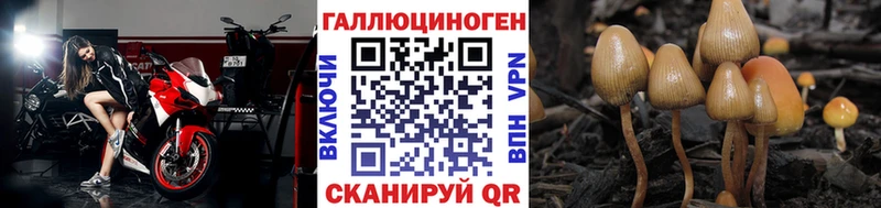 Галлюциногенные грибы GOLDEN TEACHER  кракен зеркало  Симферополь 